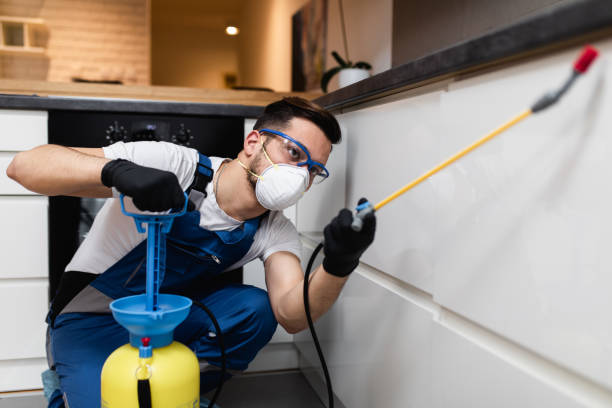 Best Best Pest Control Companies  in Bath, MI