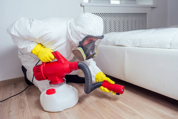 Best Wasp Removal Services  in Bath, MI