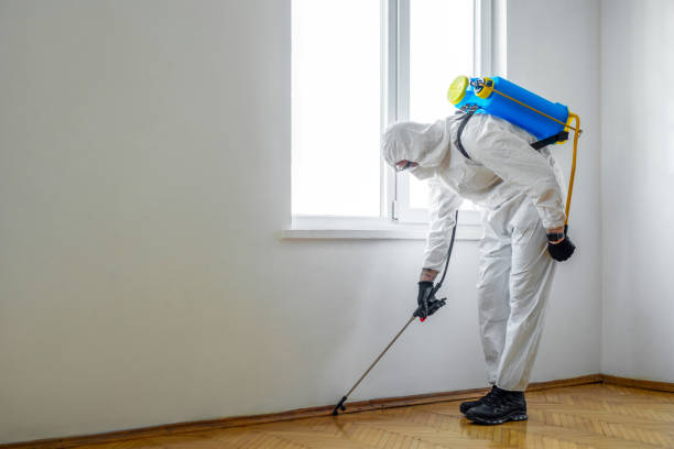 Best Insect Control  in Bath, MI
