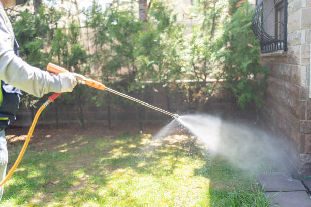 Trusted Bath, MI Pest Control Experts