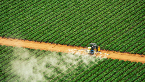 Best Mosquito Control Services  in Bath, MI