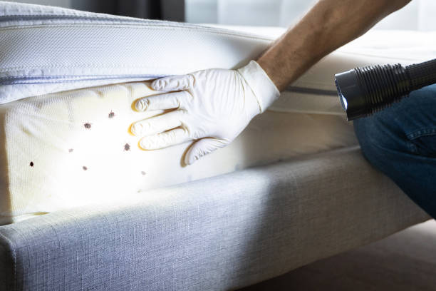 Reliable Bath, MI Pest Control Solutions
