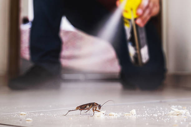 Best Cockroach Control Services  in Bath, MI