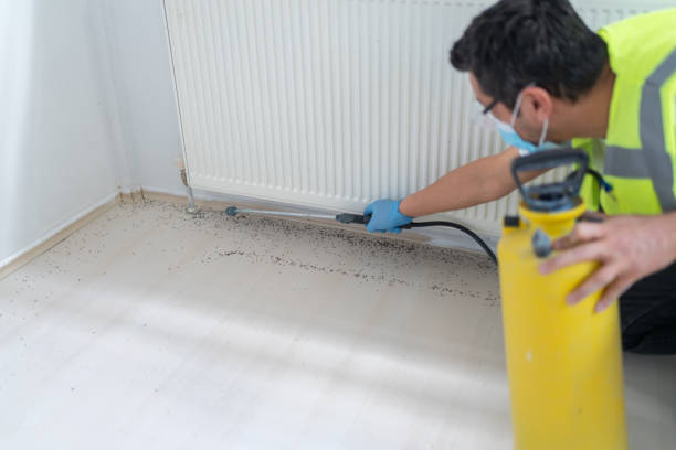 Best Pest Prevention Services  in Bath, MI