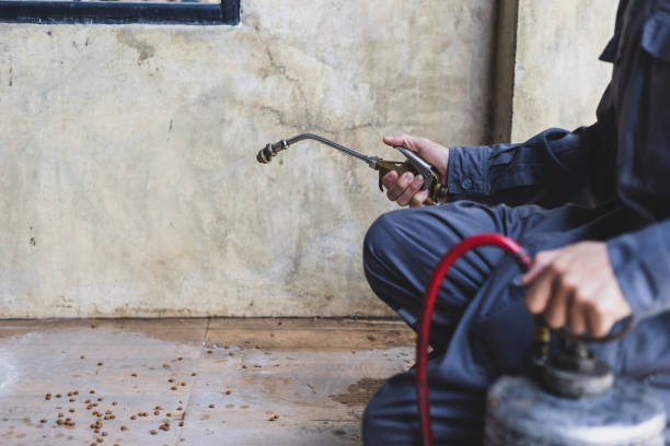 Best Rat Extermination Near Me  in Bath, MI